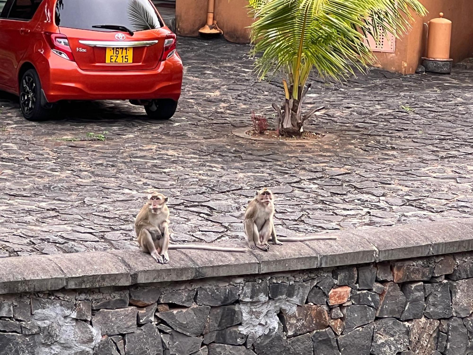 Villa In Port Chambly ,Mauritius 特里罗杰 外观 照片